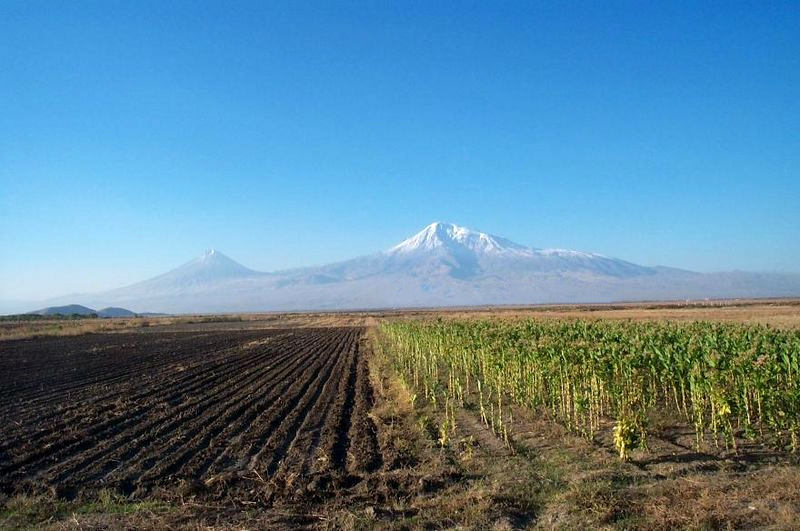 index Ararat